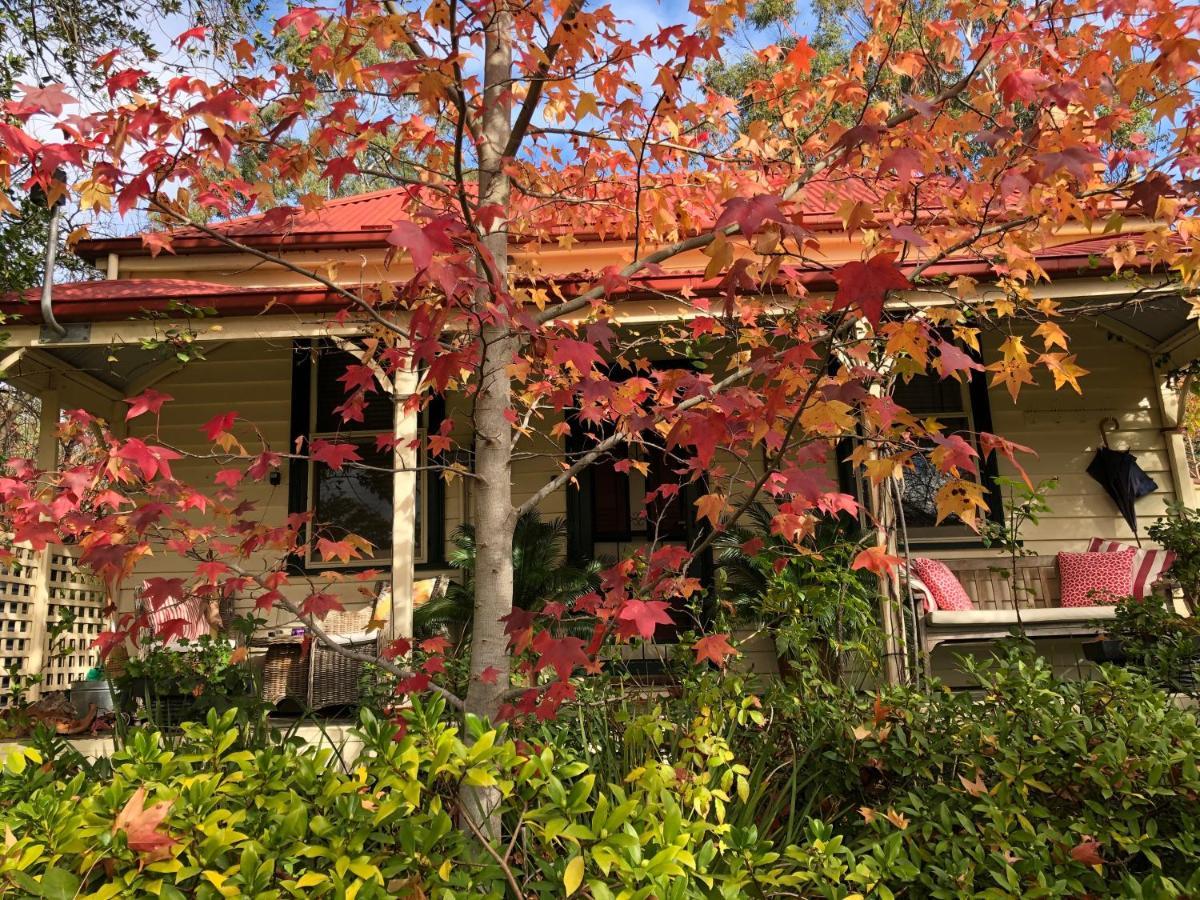 Sinnamons Cottage Молдон Экстерьер фото